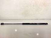 Tailgate/trunk strut/damper