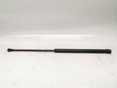 Front bonnet/hood damper/strut