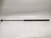 Front bonnet/hood damper/strut