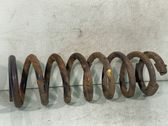 Rear coil spring