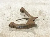 Front lower control arm/wishbone