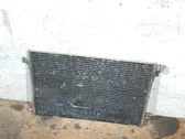 Gaisa kondicioniera dzeses radiators