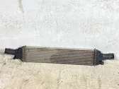 Intercooler radiator