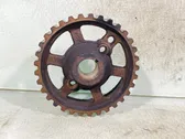 Fuel pump gear (pulley)