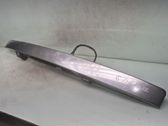 Trunk door license plate light bar