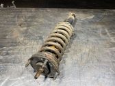 Front shock absorber with coil spring