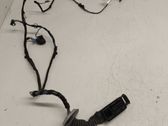 Front door wiring loom