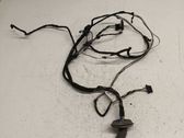 Front door wiring loom
