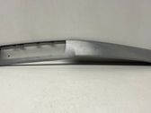 Panel trim