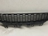 Front bumper lower grill