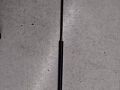 Front bonnet/hood damper/strut