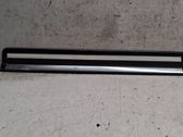 Front sill trim cover