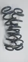 Rear coil spring