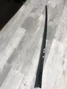 Windshield trim