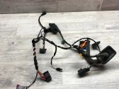 Front door wiring loom