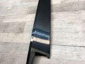 Rear door glass trim molding