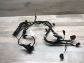 Front door wiring loom