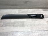 Other rear door trim element