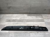 Other rear door trim element