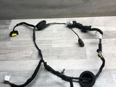 Rear door wiring loom
