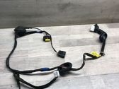 Rear door wiring loom