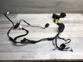 Front door wiring loom