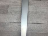 Rear door card trim