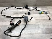 Front door wiring loom