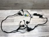 Front door wiring loom