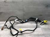 Front door wiring loom