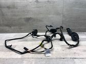 Front door wiring loom
