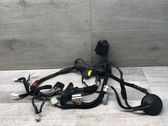 Rear door wiring loom