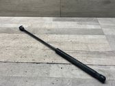 Tailgate/trunk strut/damper