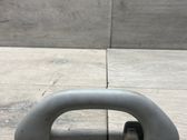 Poignée intérieur plafond
