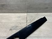 Rear door glass trim molding