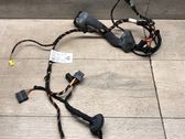 Front door wiring loom