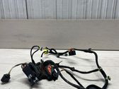 Front door wiring loom