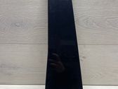 Rear door glass trim molding