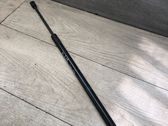 Front bonnet/hood damper/strut