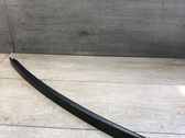 Rear door trim (molding)