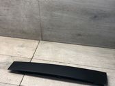 Rear door glass trim molding