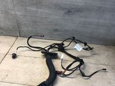 Front door wiring loom