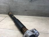 Stoßdämpfer hinten