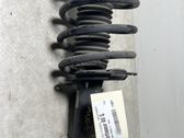 Amortiguador delantero con muelle espiral