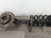 Amortiguador delantero con muelle espiral
