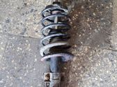 Front shock absorber with coil spring