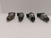 Fuel injectors set