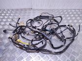 Right interior wiring harness