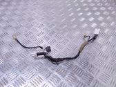 Tailgate/trunk wiring harness