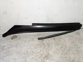 Windshield trim